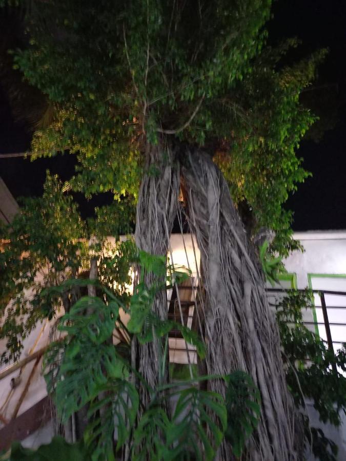 Mundo Maya Tulum Bagian luar foto